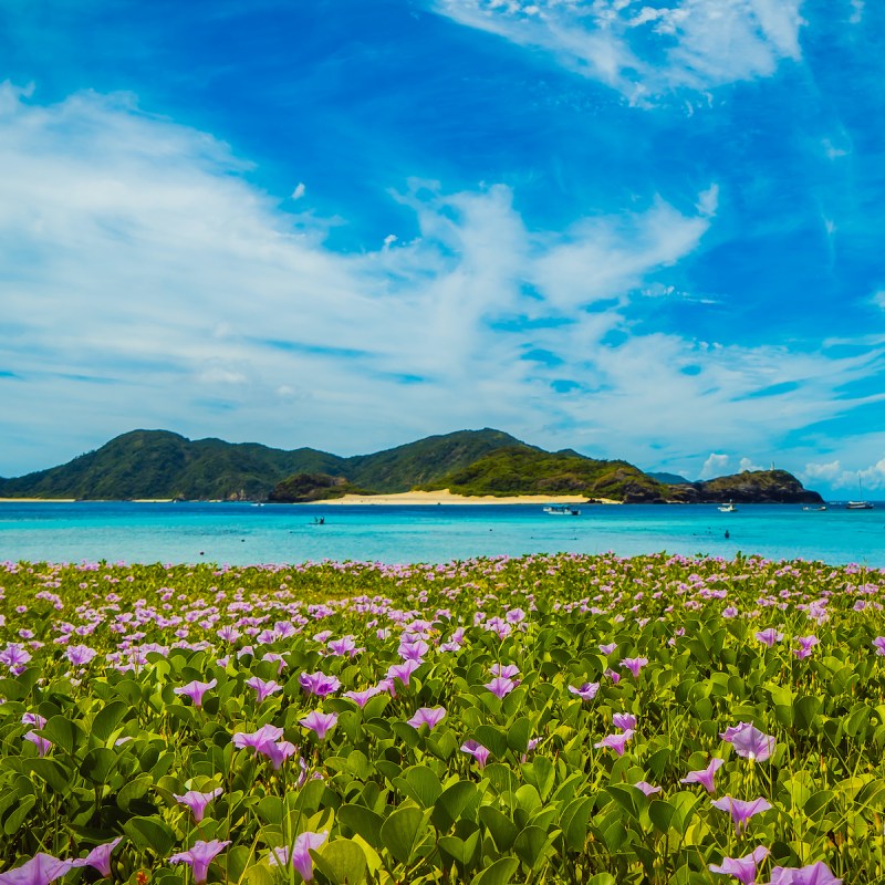 Zamami Island in Okinawa, Japan