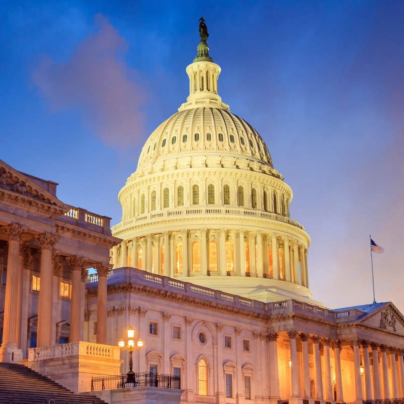 The Capitol Building in Washington D.C.