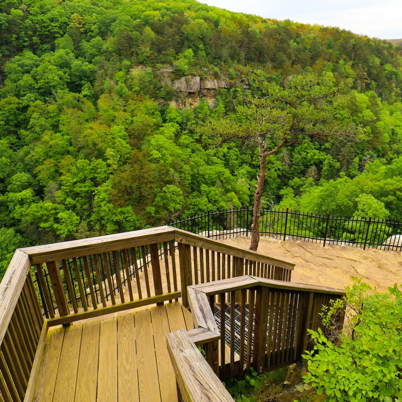 Cloudland Canyon State Park in Georgia