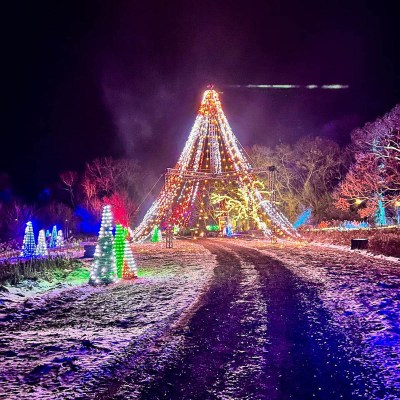 Christmas tree in the Fair Oaks Farm Forests of Lights