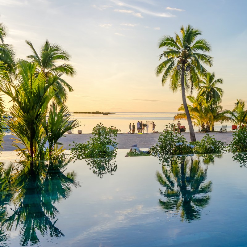 Palms reflecting on an infinity pool on the beach in Moorea, French Polynesia