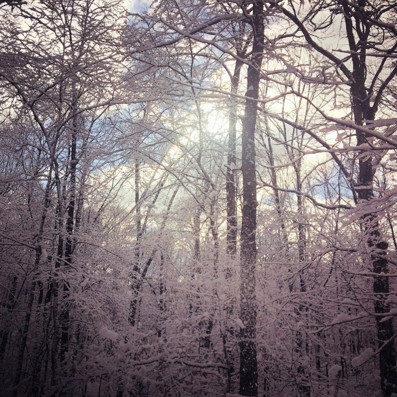 Winter time at the Land Between Lakes National Recreation Area