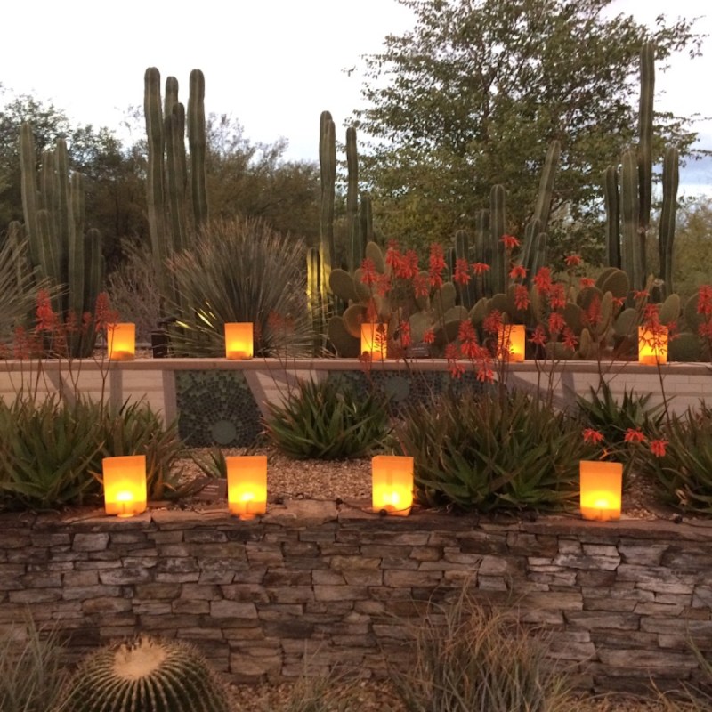 Luminarias at the Desert Botanical Gardens in Arizona
