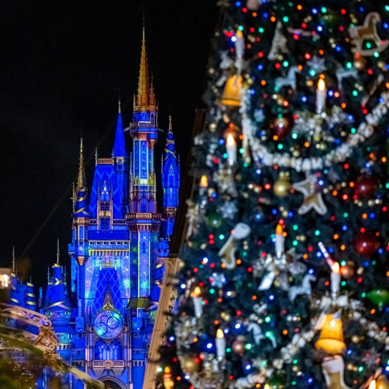 Magic Kingdom Christmas decorations