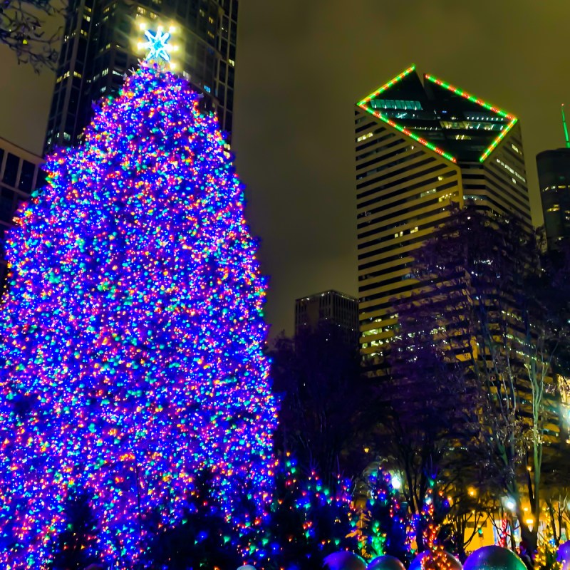 8 Best Places To See Holiday Lights In Chicago (2022) TravelAwaits