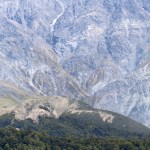 Hutton's Shearwaters nest on a rocky mountainside at Puhi Peaks