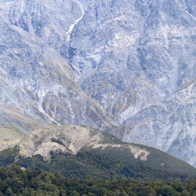 Hutton's Shearwaters nest on a rocky mountainside at Puhi Peaks