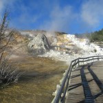 Boardwalk to Palette Spring and Terrace at Mammoth Hot Springs