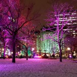 Lights at Confederation Park in Ottawa