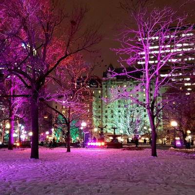 Lights at Confederation Park in Ottawa