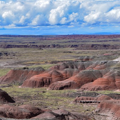 Landscape view of the Petrified Forest National Park's Painted Desert