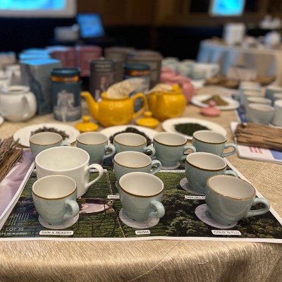 Tea cups and pots for a Tea Sommelier Workshop