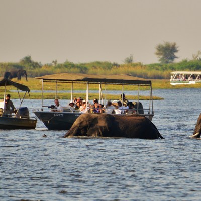 Collette Small Group Tour - Wilderness of Southern Africa