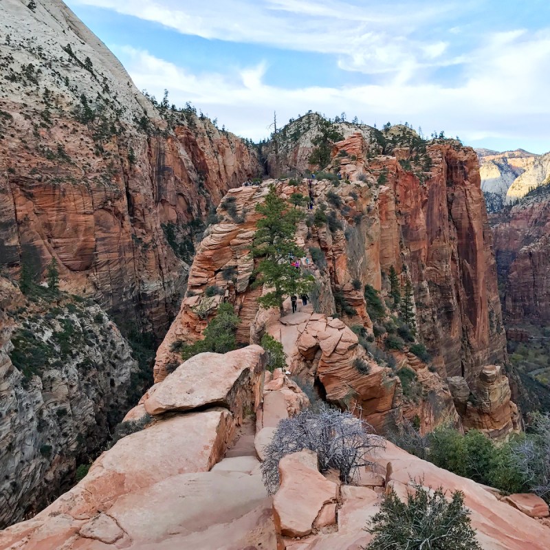 Angels Landing Trail at Zion National Park