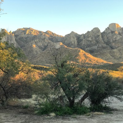 Catalina State Park in Tucson
