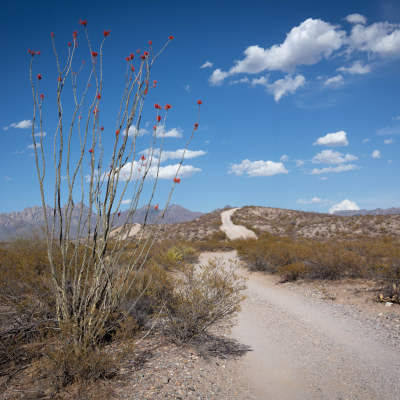 Las Cruces hiking trail