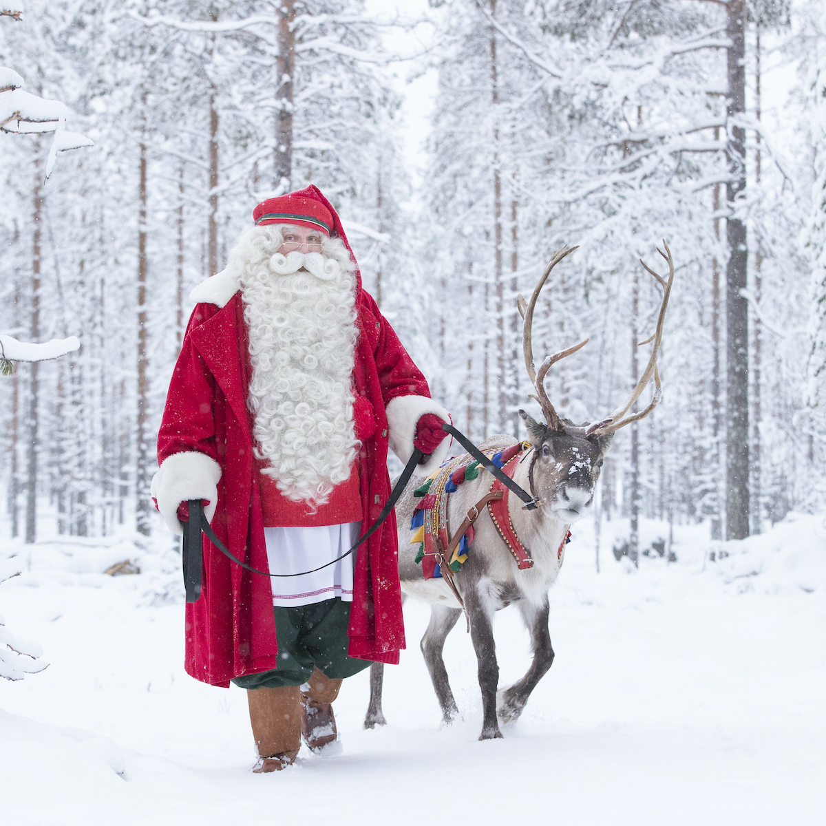 Santa and his reindeer in Rovaniemi