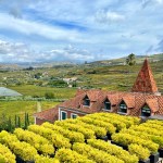 Six Senses Douro Valley