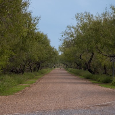 Bentsen-Rio Grande Valley State Park