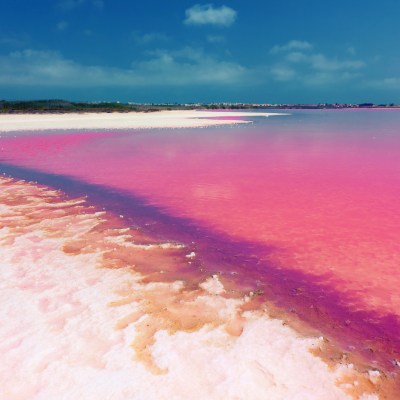 The Pink Lake of Torrevieja, Spain