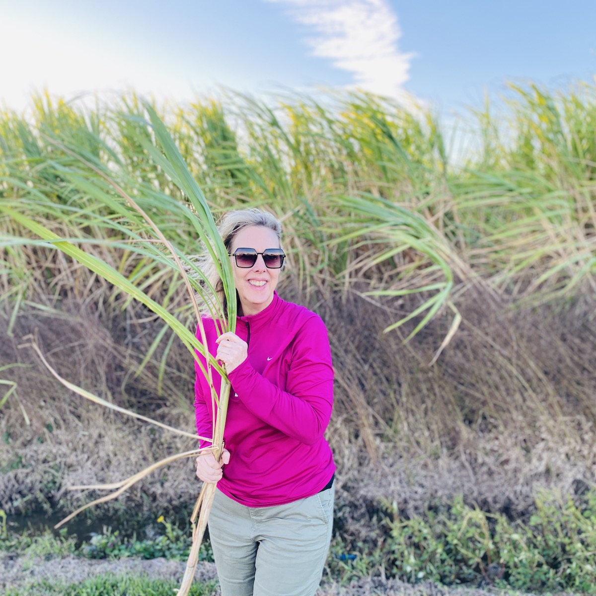 5 Delicious Foods To Try On The Cajun Bayou Food Trail TravelAwaits