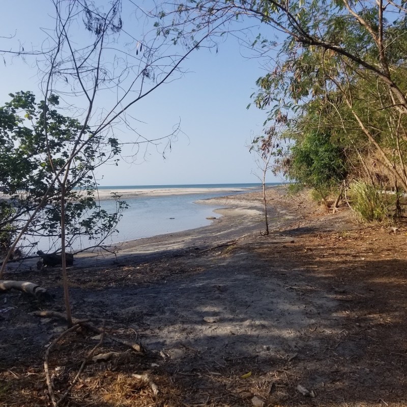 The beach in Panama