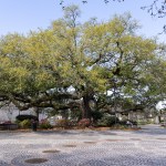 Congo Square, a stop on the Voodoo Tour by Free Tours by Foot