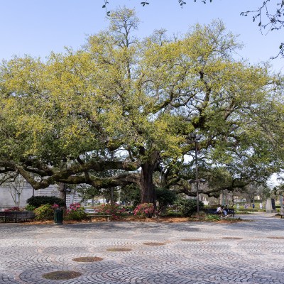 Congo Square, a stop on the Voodoo Tour by Free Tours by Foot