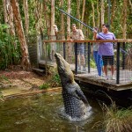 Watching a crocodile feeding at Hartley's Crocodile Adventures in Queensland