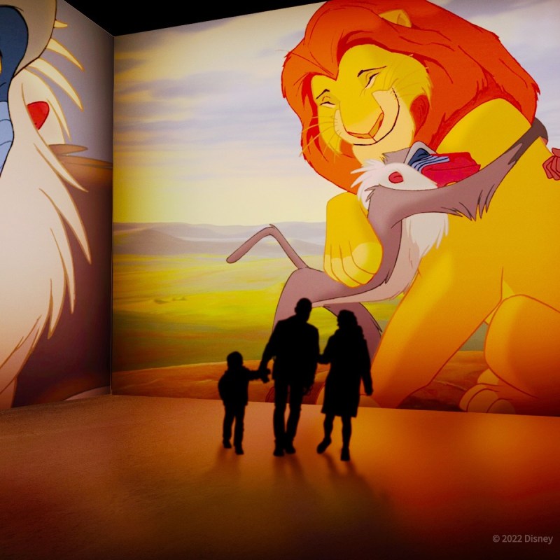 Lion King display at the Disney Animation: Immersive Experience