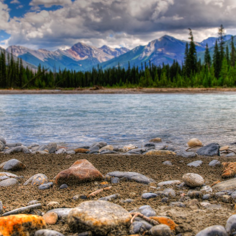 The muddy bank of the Kootenay River in Kootenay National Park, British Columbia, Canada.