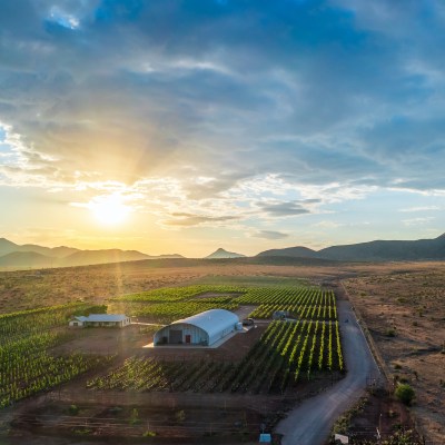 Sonoita Wine Country