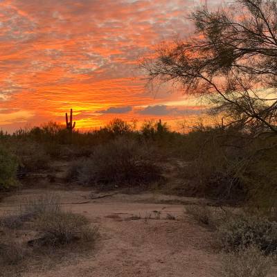 Desert sunset at the McDowell Sonoran Preserve in Scottsdale, Arizona