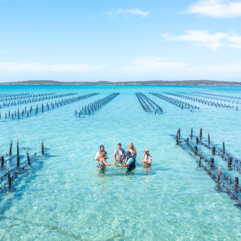 Oyster farms in the pristine waters off Coffin Bay, Australia