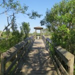 Pirate's Alley Trail at Buccaneer State Park