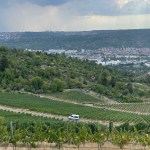 Stuttgart vineyards