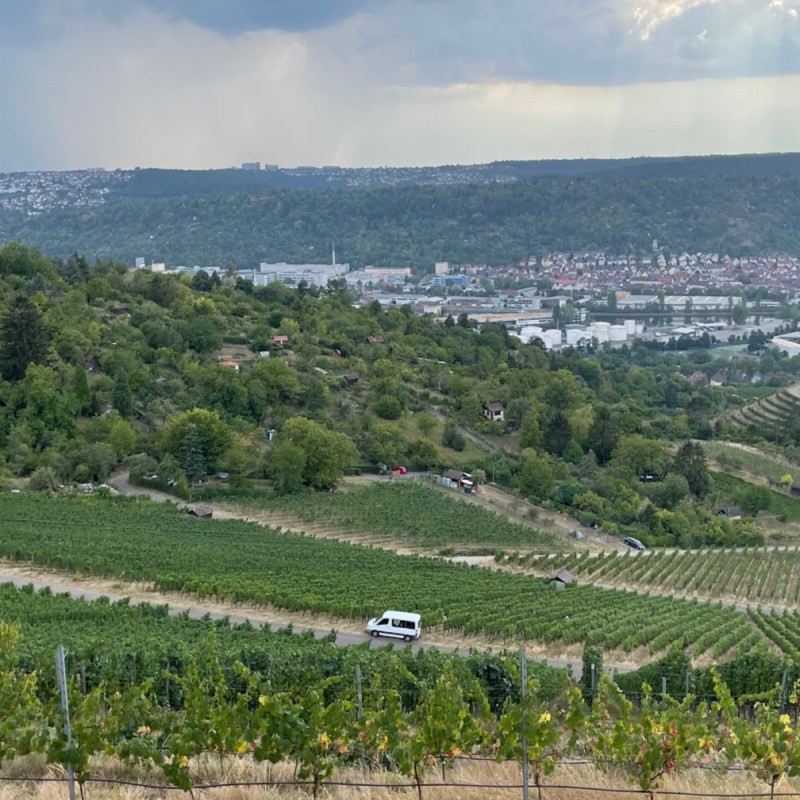 Stuttgart vineyards
