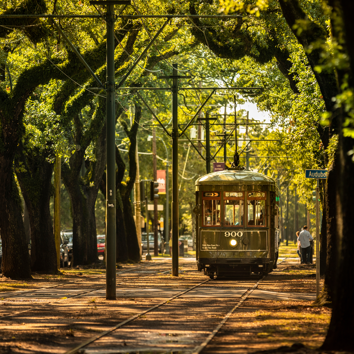 A streetcar in the Garden District of New Orleans