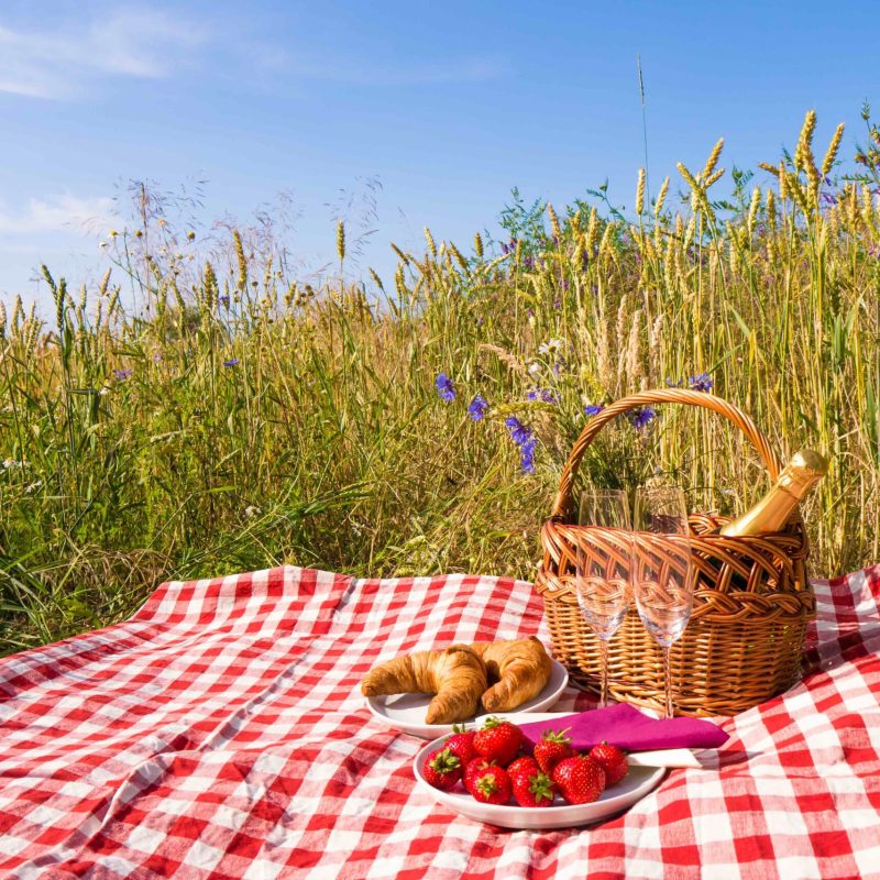 Picnic on picnic blanket with basket, champagne, and snacks