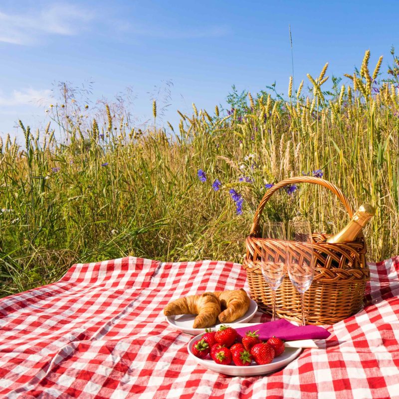 Picnic on picnic blanket with basket, champagne, and snacks