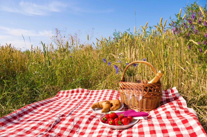 5 Best Picnic Blankets I’ve Tried And Loved TravelAwaits
