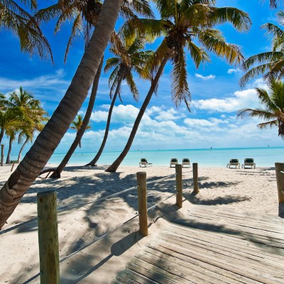 footbridge to Smathers Beach in Key West with palm trees