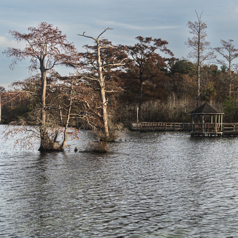 The wheelchair-accessible Fenwick-Hollowell Wetlands Trail in Elizabeth City