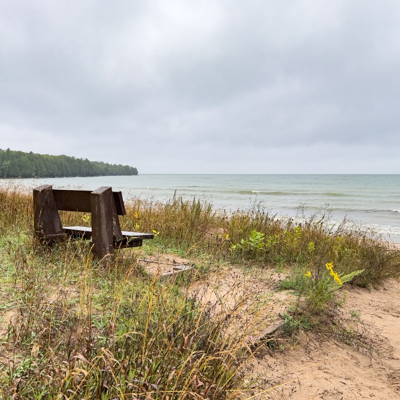 Lake Michigan shoreline at Newport State Park