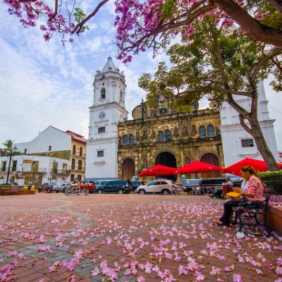 Panama Cathedral