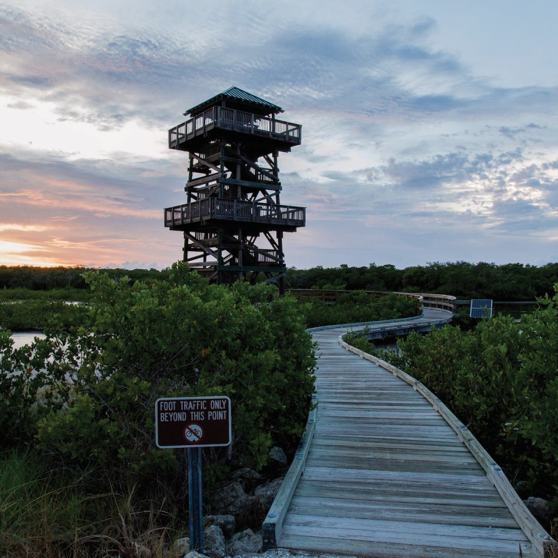 Robinson Preserve Tower at Robinson Nature Preserve, in Bradenton, Florida
