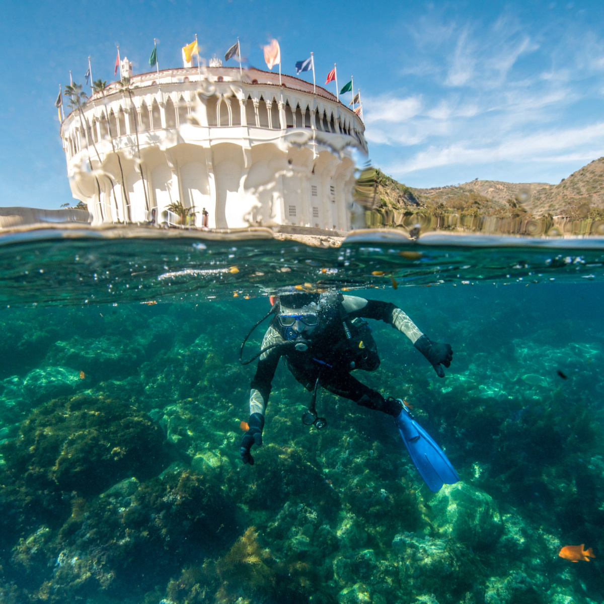 Young Male Scuba Diver Begins a Dive at the Casino Point Underwater Park at Santa Catalina Island in California.