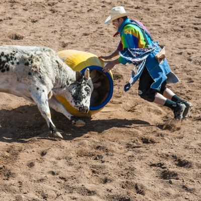 Rodeo clown and bull