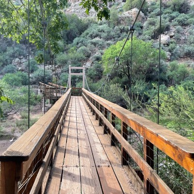 Bridge at Boyce Thompson Arboretum