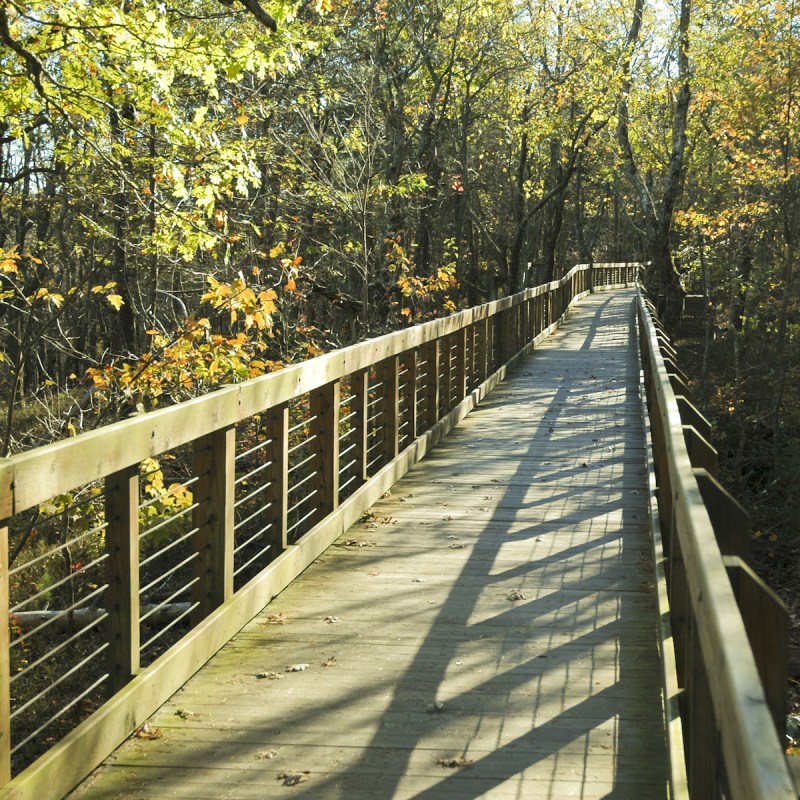 Cheaha State Park